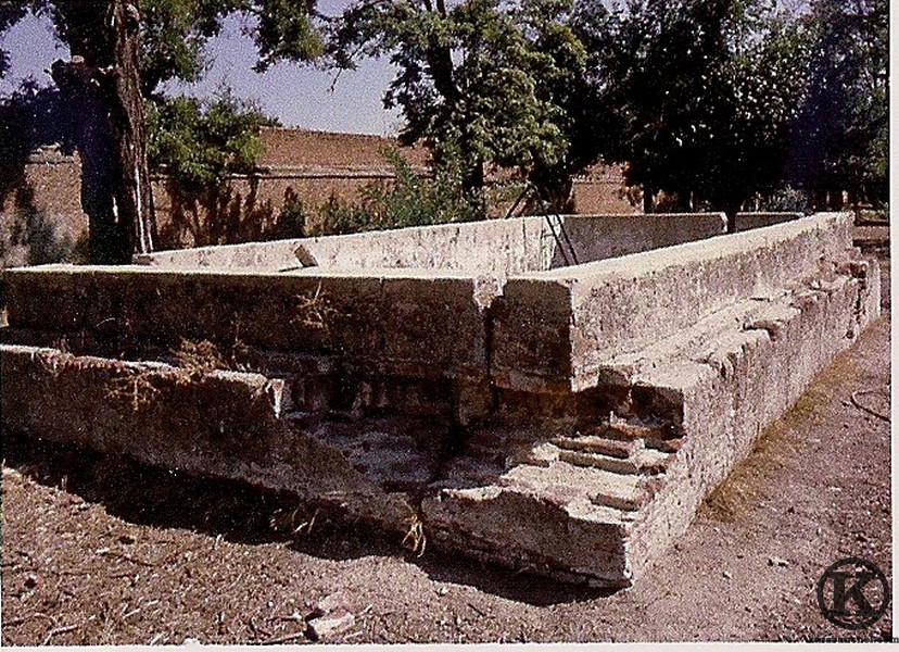 el estanque oval de la finca de La Patilla