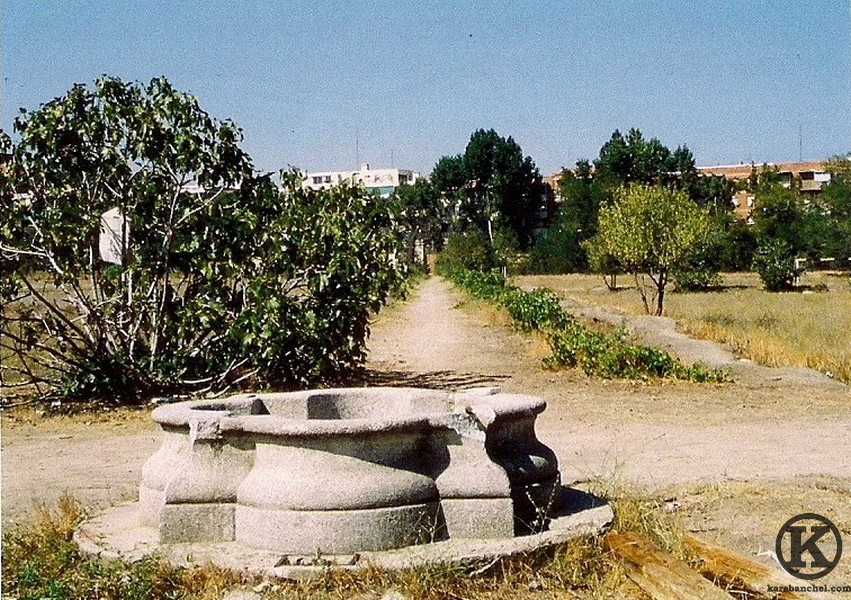 Detalles del jardín